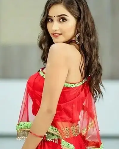 Escort In Srivilliputhur